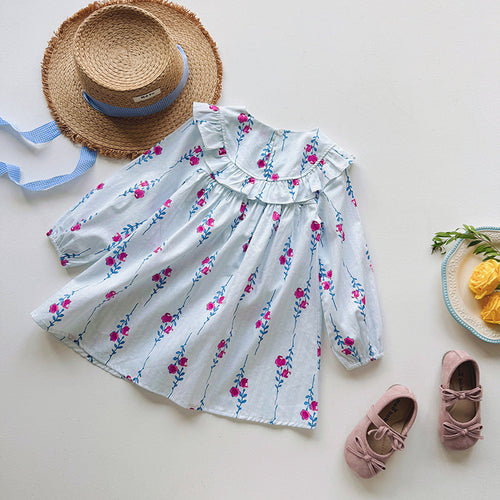 Baby Kids Girls Floral Pattern Long Sleeves Crew Neck Dress