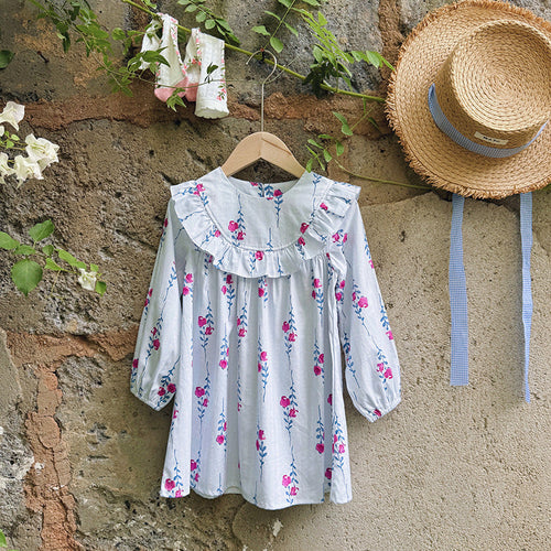 Baby Kids Girls Floral Pattern Long Sleeves Crew Neck Dress